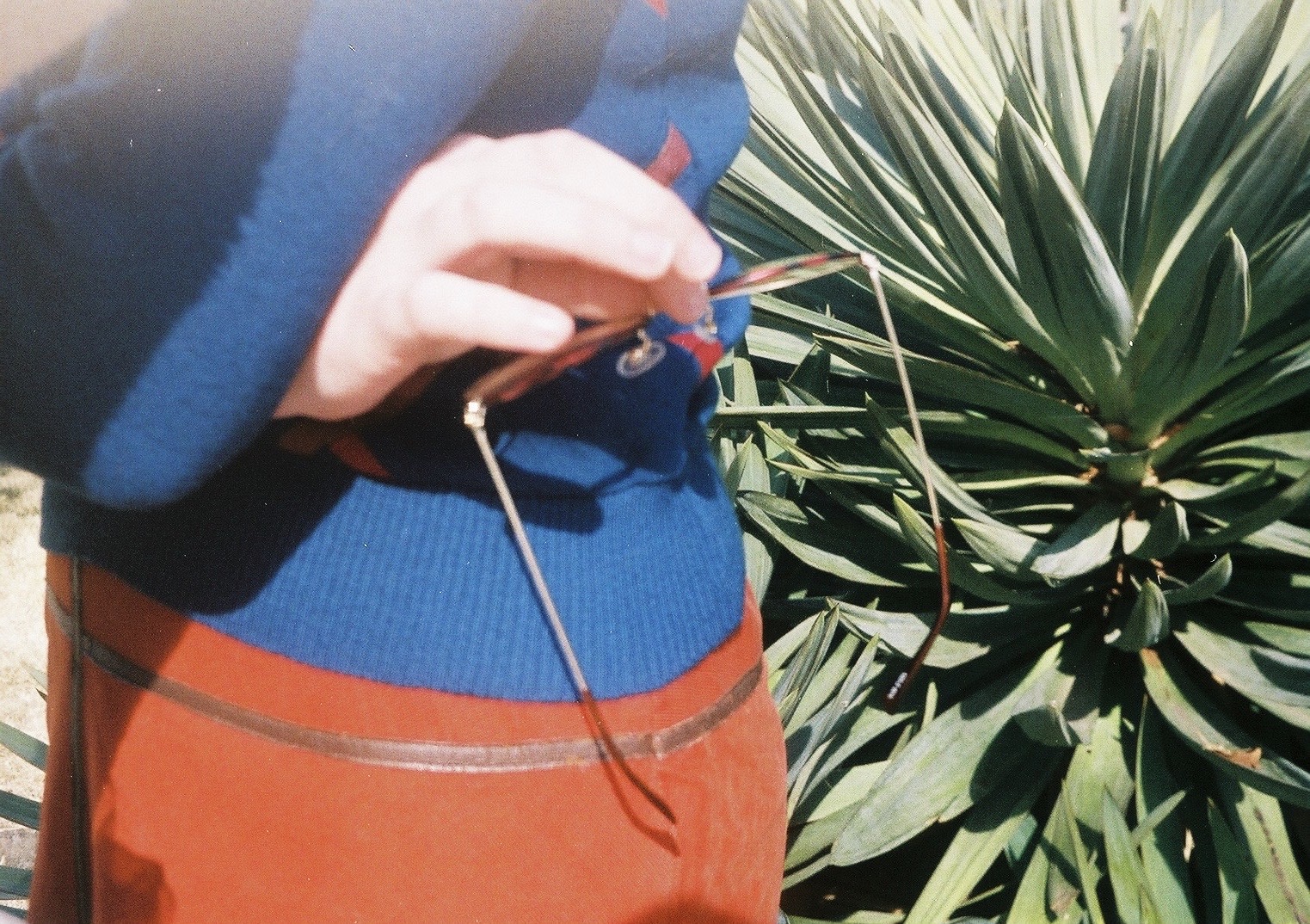 酒井 優衣 /  Yui Sakai